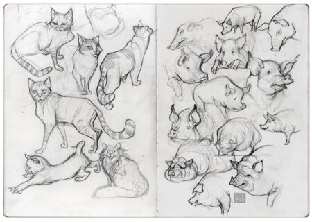 animal studies