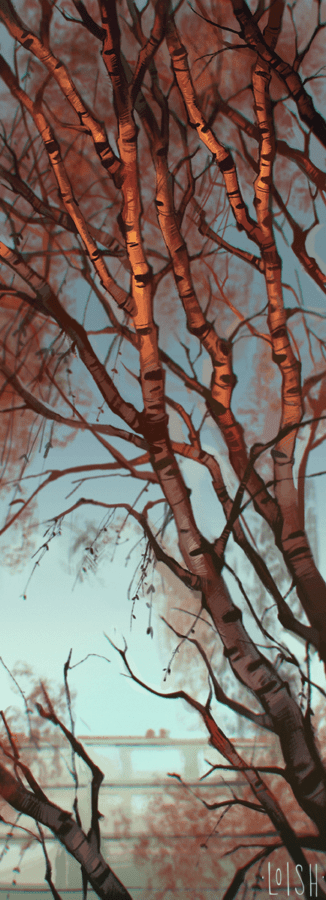 birch tree