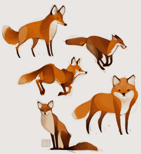 foxes