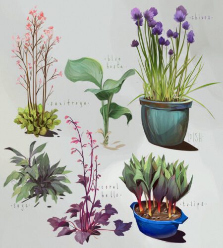 garden plants