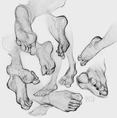 hand & feet studies