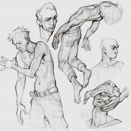 anatomy studies