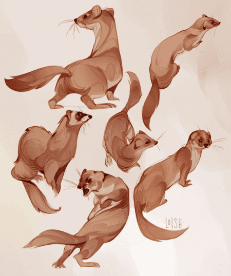 weasels