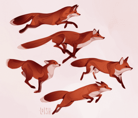 foxes