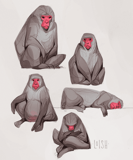 zoo sketches