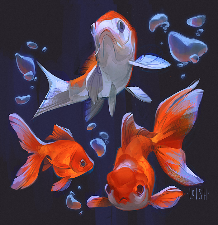 fish