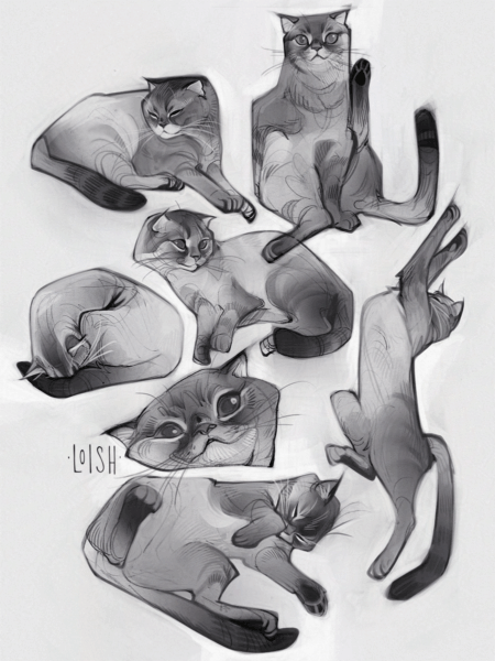 My cats