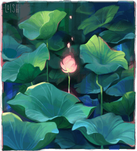 lotus leaves
