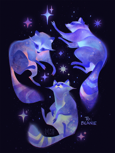 space raccoons
